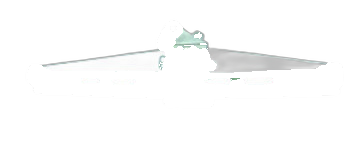 FP-BZ9009